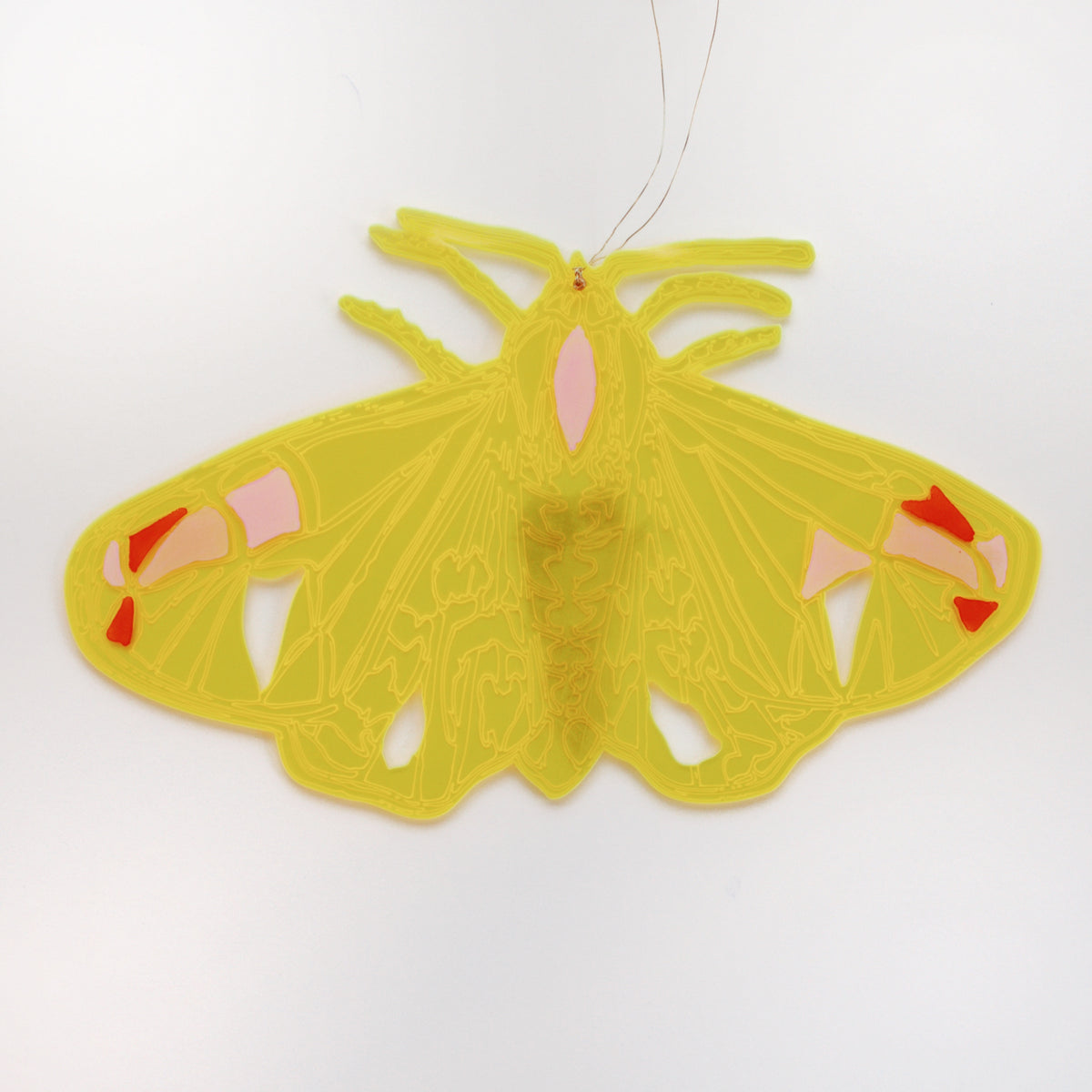 Jennifer Macklem | Flightpaths