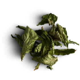 Tisane inuit - mélange de l'Arctique (Ukiurtatuq)