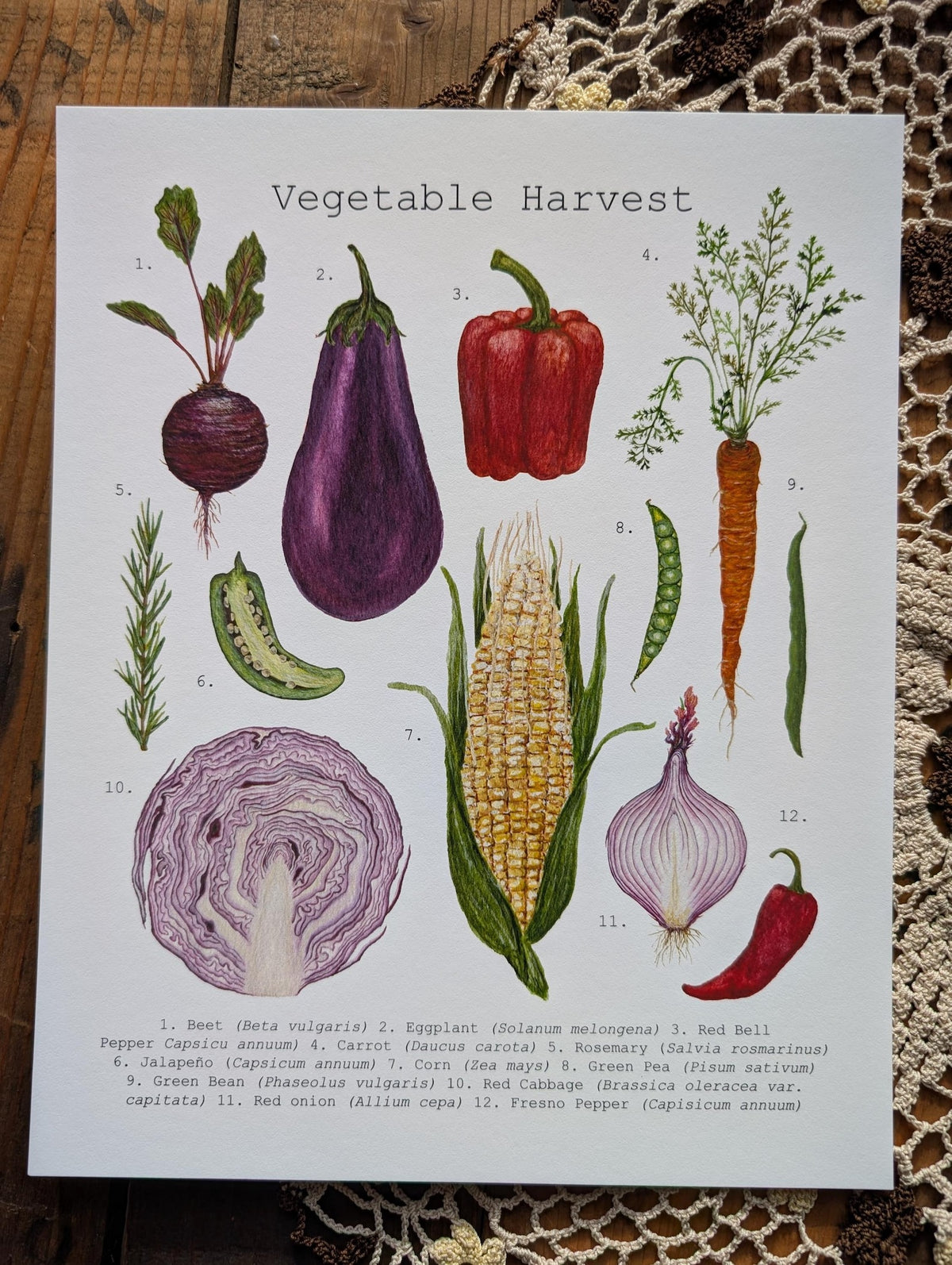 Vegetable Harvest Art Print