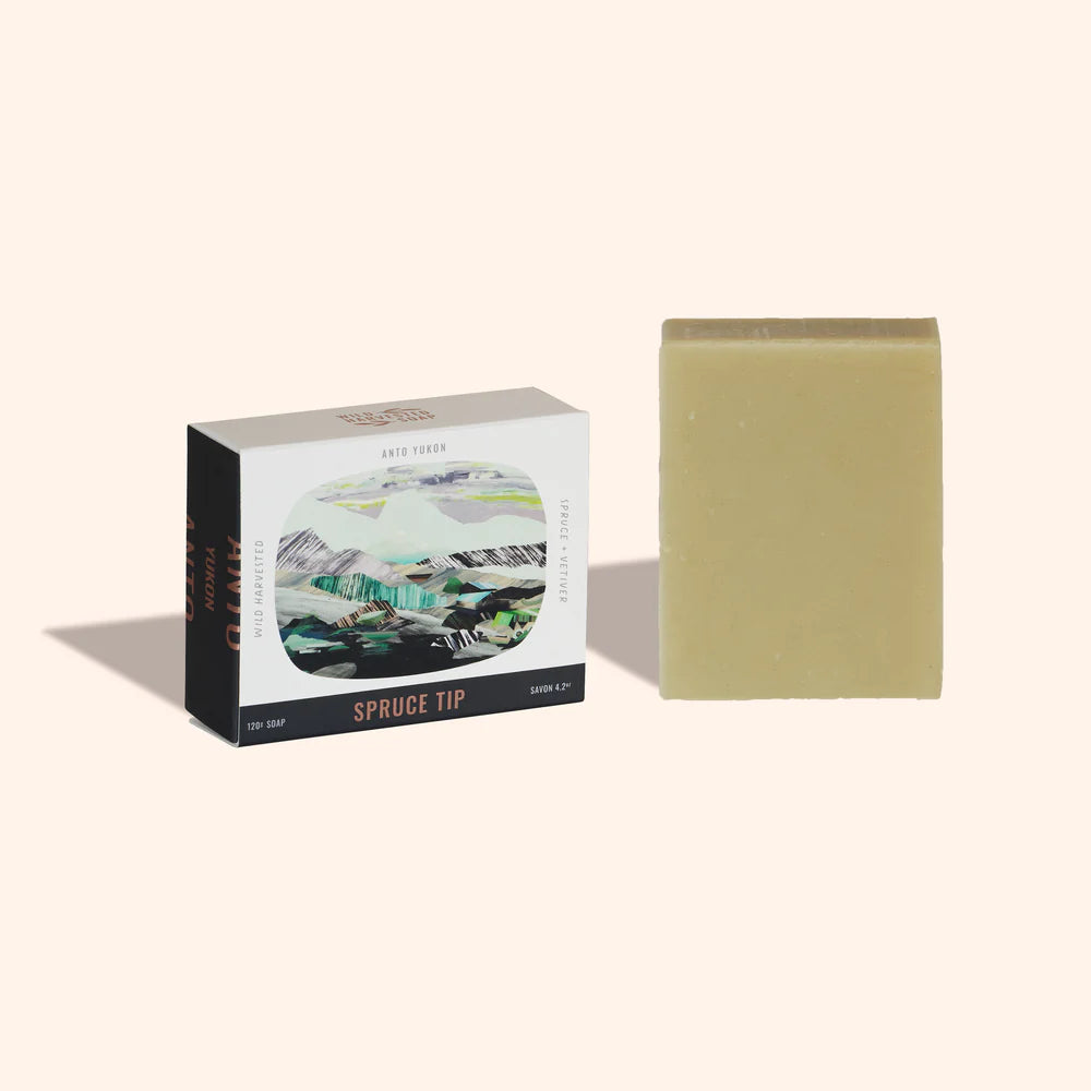 Savon en barre | Spruce Tip