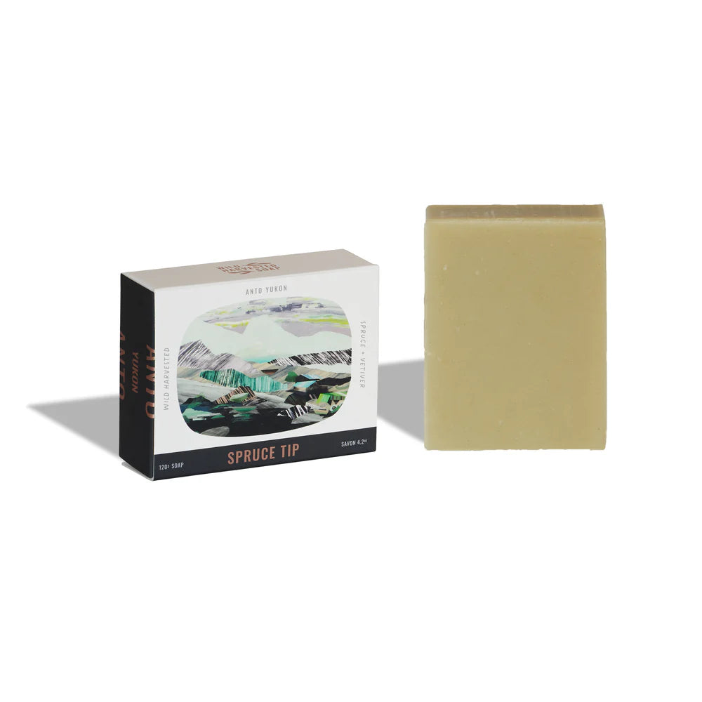 Savon en barre | Spruce Tip