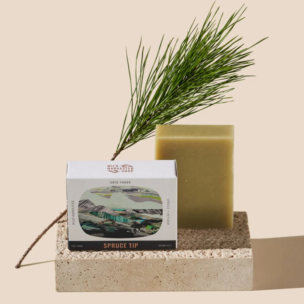 Savon en barre | Spruce Tip
