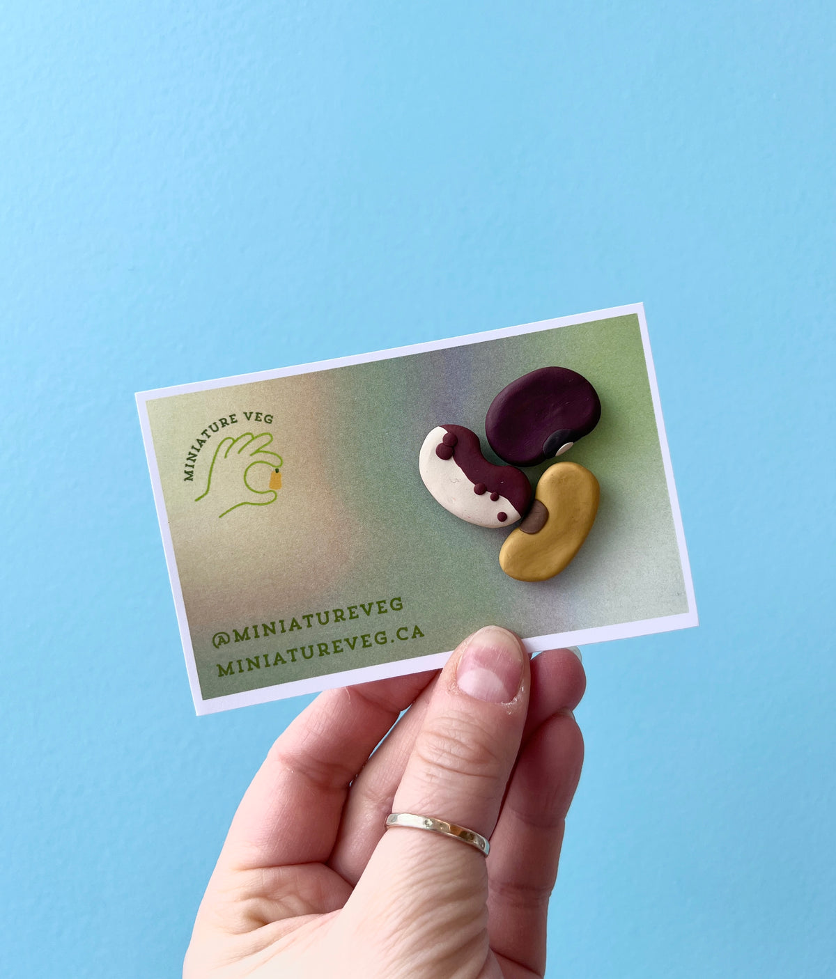 Magnet Set | Beans