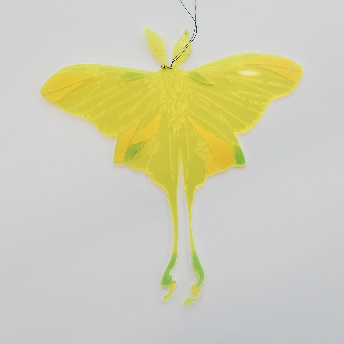 Jennifer Macklem | Flightpaths