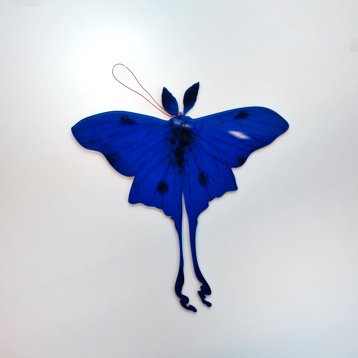 Jennifer Macklem | Flightpaths