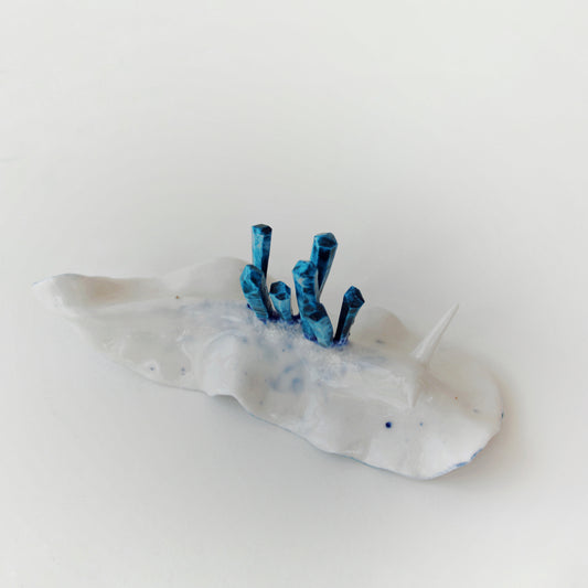 Cynthia O'Brien Slugs (Nudibranchs)
