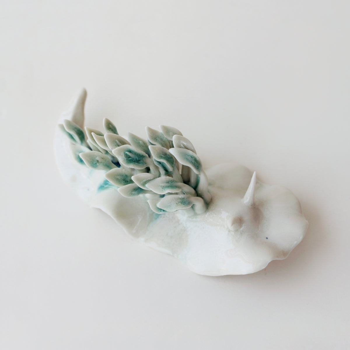 Cynthia O'Brien Slugs (Nudibranchs)