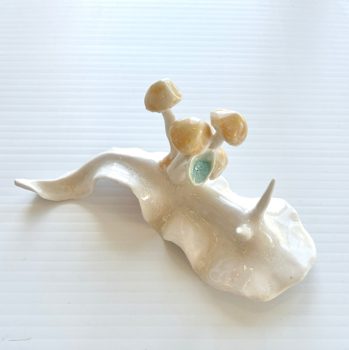 Cynthia O'Brien Slugs (Nudibranchs)