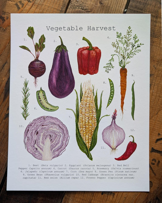 Vegetable Harvest Art Print