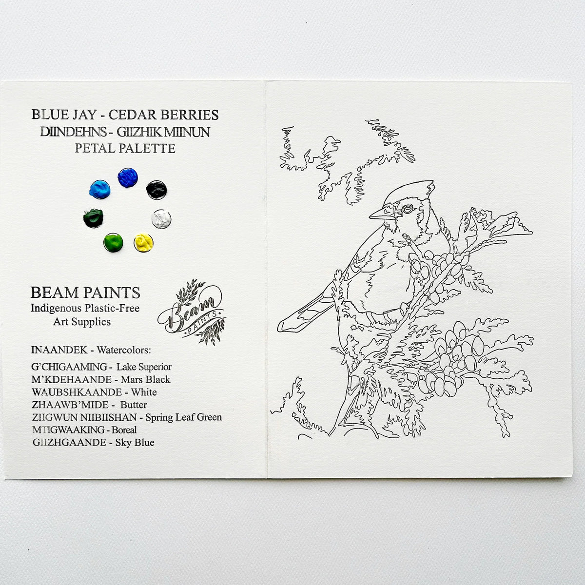 Beam Paints - Paintables