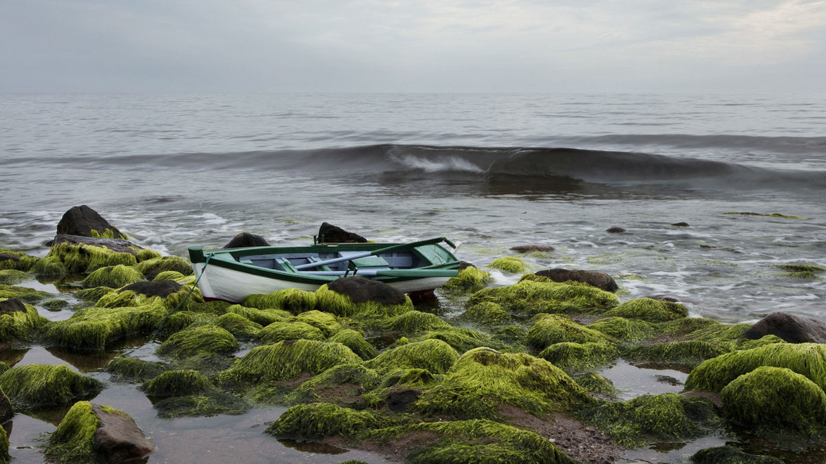 BOAT: Photographs by Katherine Knight