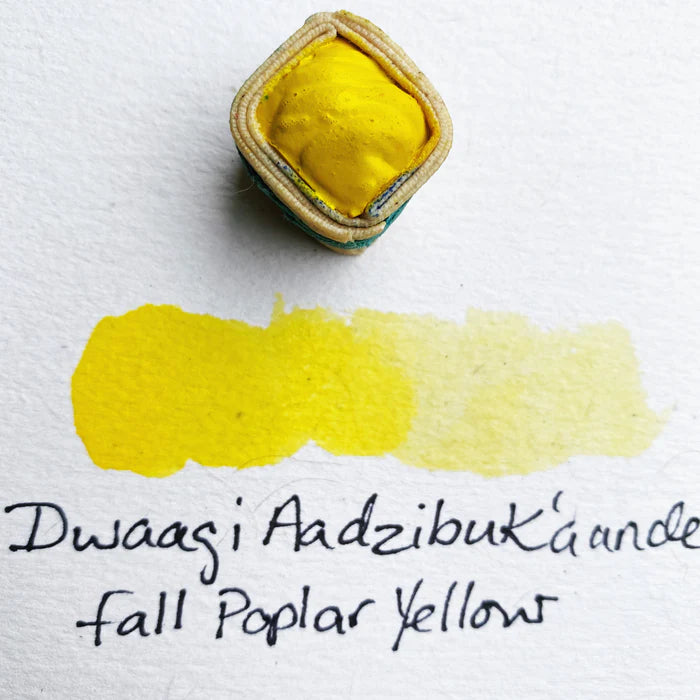 Beam Paints - Watercolour Paintstones