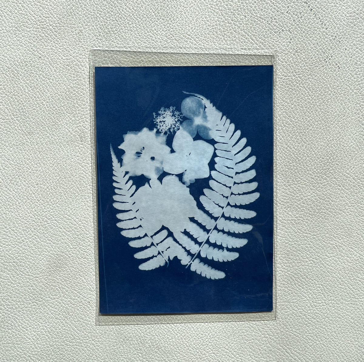 Cyanotype Prints